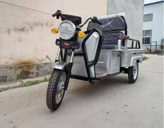 Tricycle Électrique 1.1 Plat - 600W, 300KG de Charge, Véhicule a Options Personnalisables